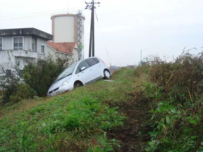 Yasushi From Japan Made A One-Of-A-Kind Marriage Proposal That Gained The Guinness World Record