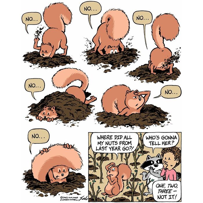 Home Free, When DIY Becomes A Family Adventure