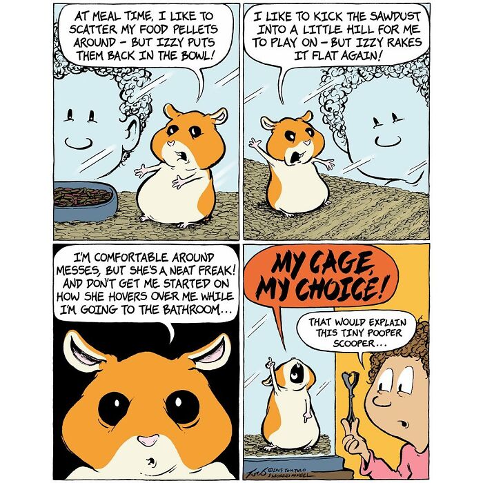 Home Free, When DIY Becomes A Family Adventure