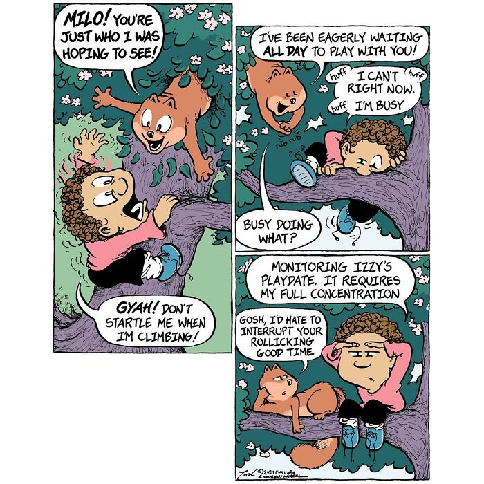 Home Free, When DIY Becomes A Family Adventure