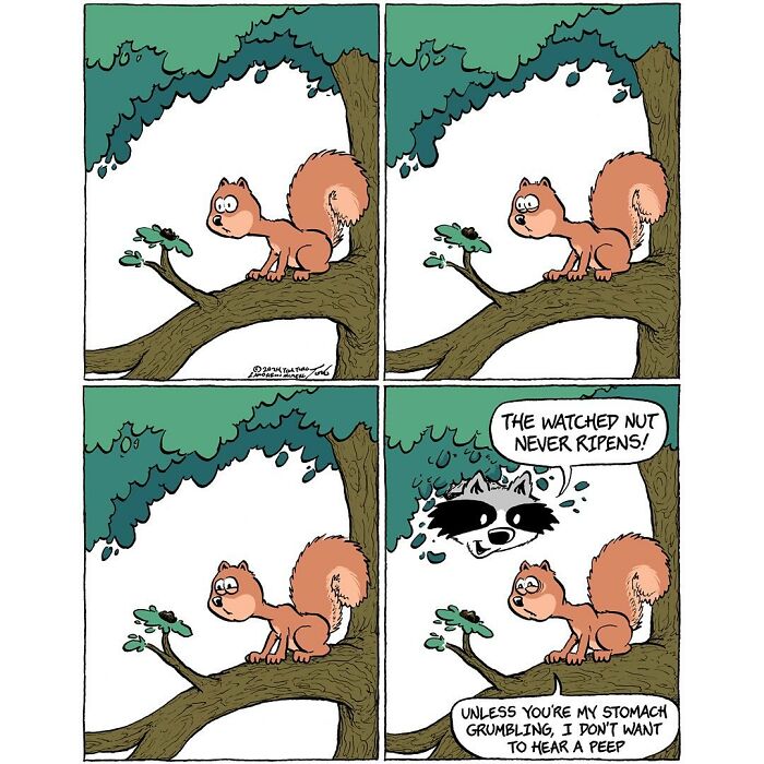 Home Free, When DIY Becomes A Family Adventure