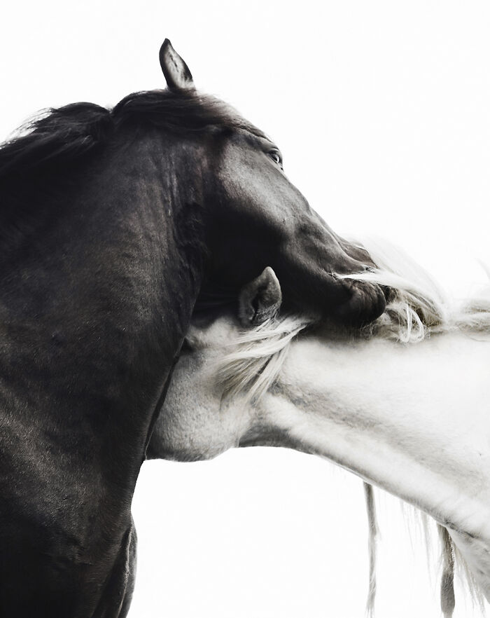 "Hugs" By Gigja Einars