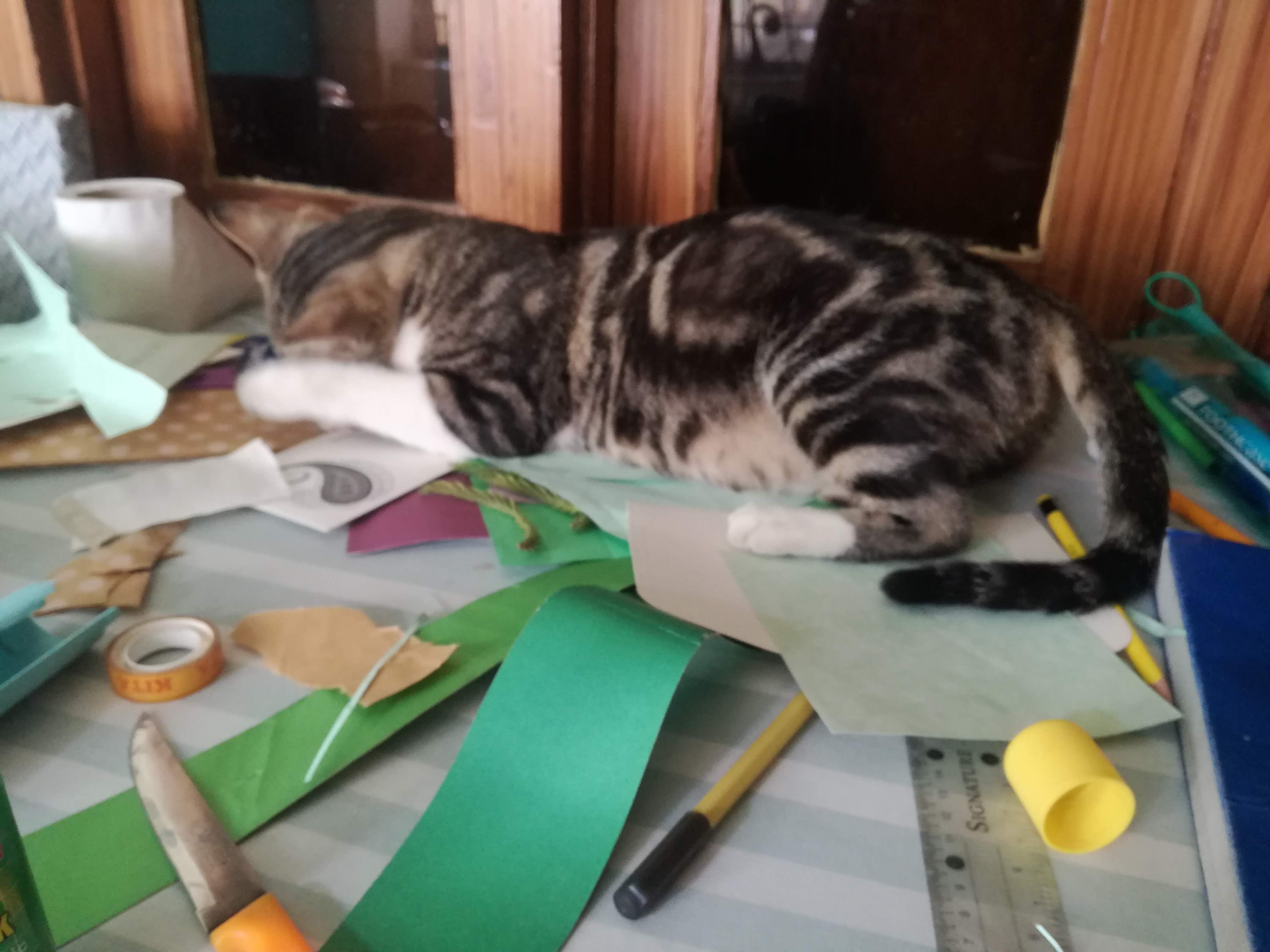 The Crafty Cat And The Case Of The Ruined Card