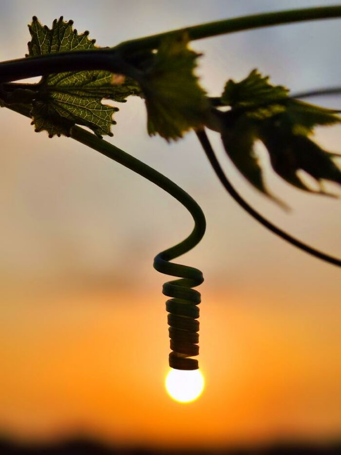 This Photographer Captures The Sun As An Integral Part Of His Photo Stories (20 New Pics)