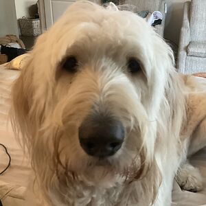 marilynkanouse avatar