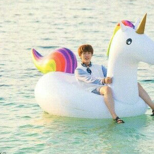 lisaelliott_3 avatar