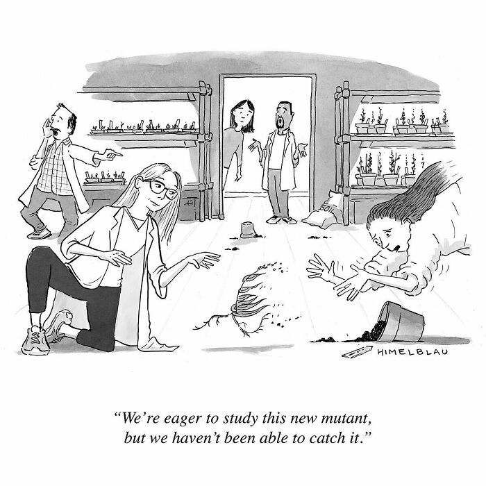 Meet The Best Single-Panel Comics By Ed Himelblau