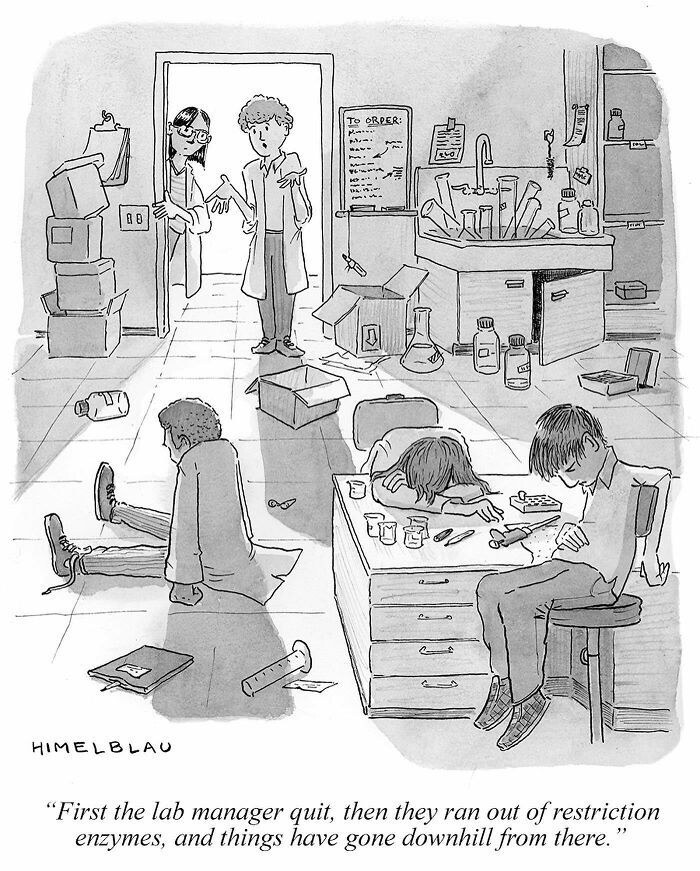 Meet The Best Single-Panel Comics By Ed Himelblau