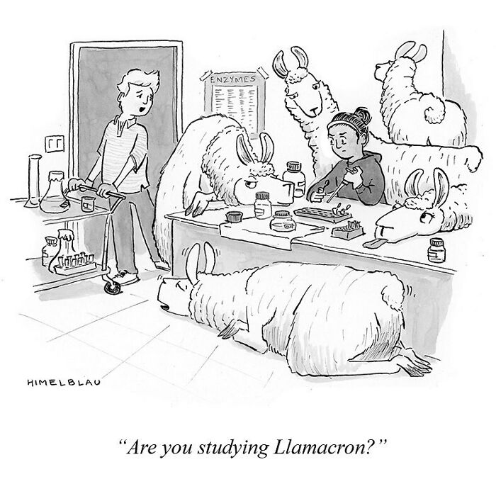 Meet The Best Single-Panel Comics By Ed Himelblau