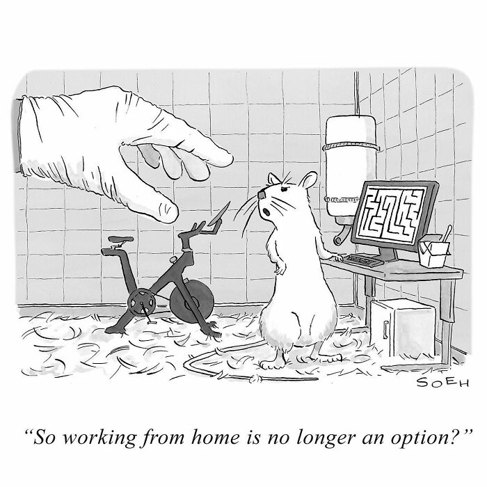 Meet The Best Single-Panel Comics By Ed Himelblau