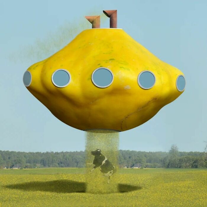 Meet Edible Architectures By Ceslovas Cesnakevicius