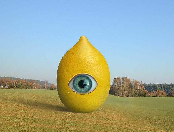 Meet Edible Architectures By Ceslovas Cesnakevicius