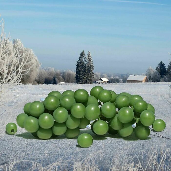 Meet Edible Architectures By Ceslovas Cesnakevicius