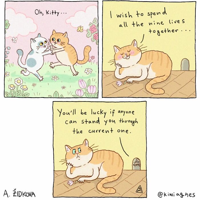 Meet The Wit And Charm Of Anežka Židkova's Kiwi Agnes Comics (Interview)