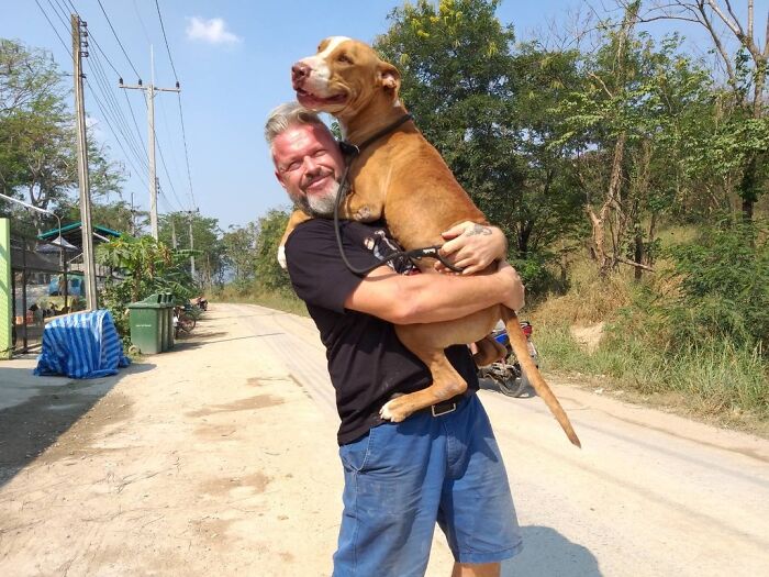 This Chef Found His True Calling Rescuing Stray Dogs In Thailand