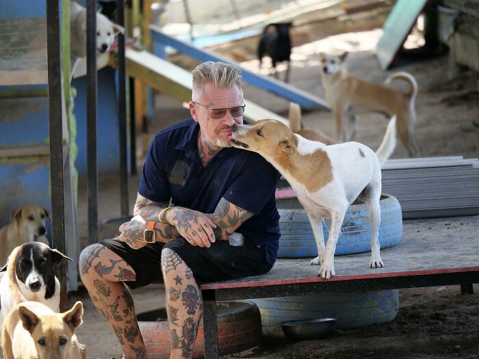 This Chef Found His True Calling Rescuing Stray Dogs In Thailand