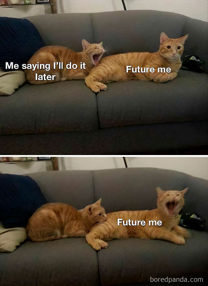 Two cats on a couch depicting procrastination, with text: "Me saying I'll do it later" and "Future me".