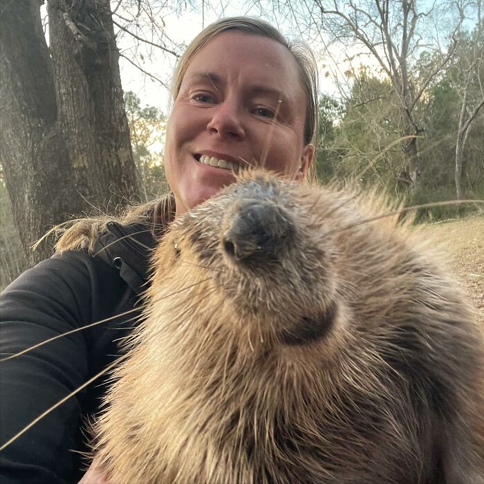 Tulip The Rescued Beaver Finds Love And Purpose As A Big Sister To A Tiny Beaver Petunia