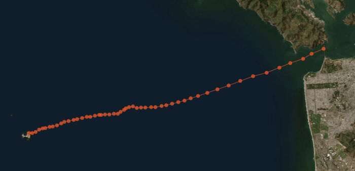 Amy Appelhans Gubser Completed A 17-Hour Swimming Journey Through Cold, Shark-Inhabited Waters