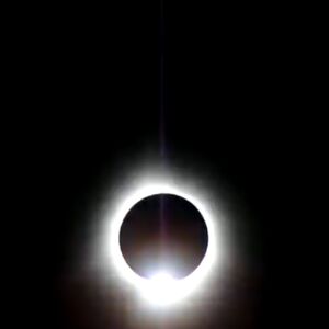 natalietorp03 avatar