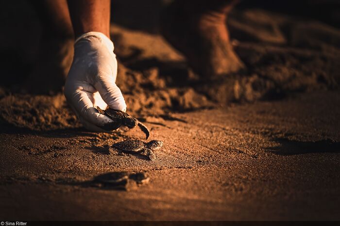 Awaken New Depths, 3rd Place: Sina Ritter (Germany)