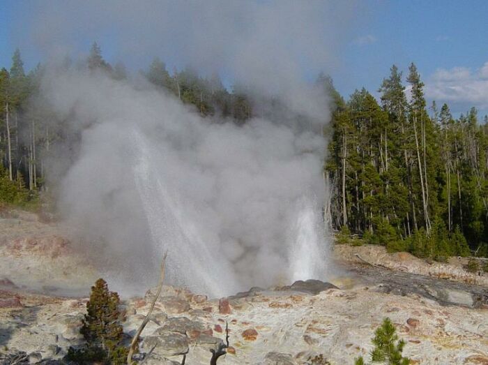 Geyser erupting with steam and water near a forest, illustrating frightening vacation stories in a natural setting.