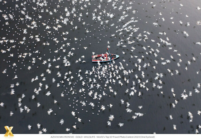 "Whirpool" By Azim Khan Ronnie