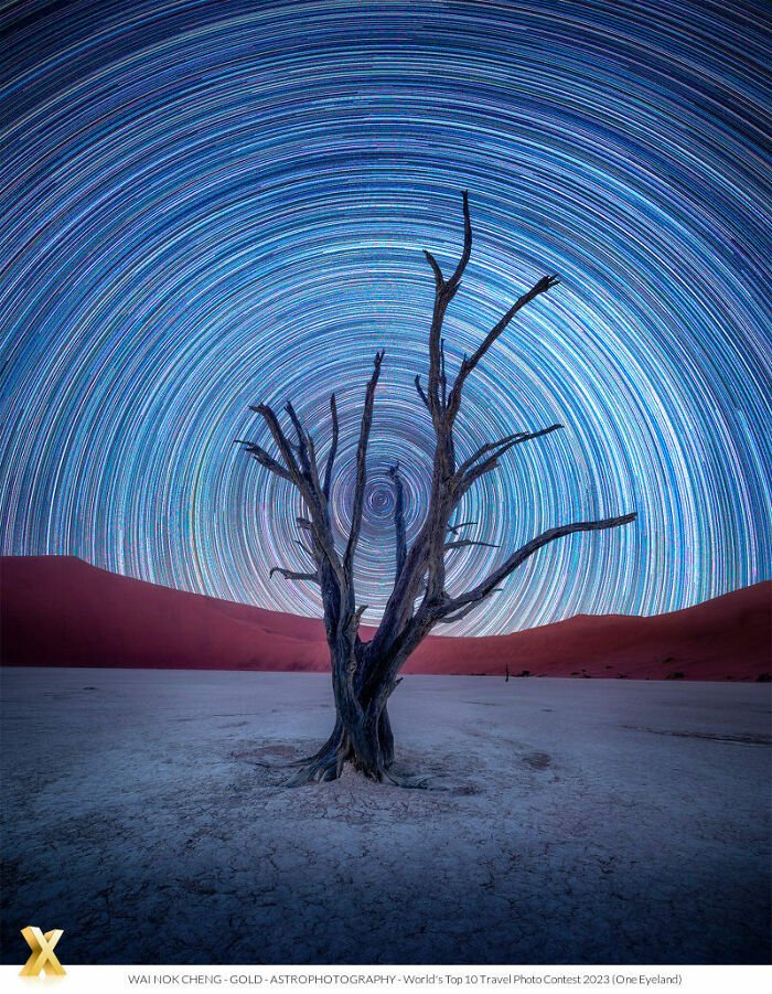 "Night Loner" By Wai Nok Cheng