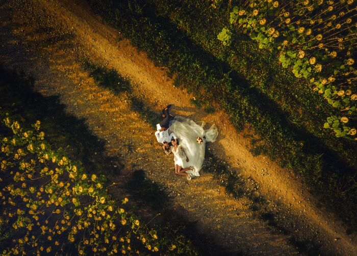 “Girasoli Innamorati” By Matteo Originale (Italy)