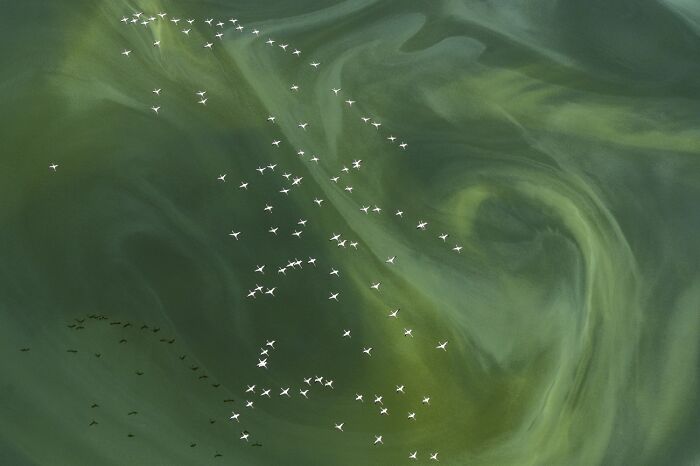 “Stay Where Your Heat Smiles” By Silke Hullmann (Germany)