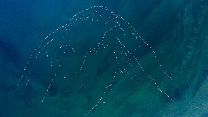 “Fuji Mountain” By Mohammad Alqattan (Kuwait)