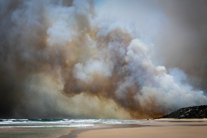 "Dark Beauty" By Robyn Finlayson