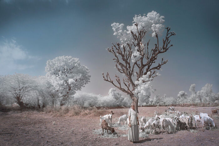 "India - Memories Of What I Have Never Seen" By Betina Samaia