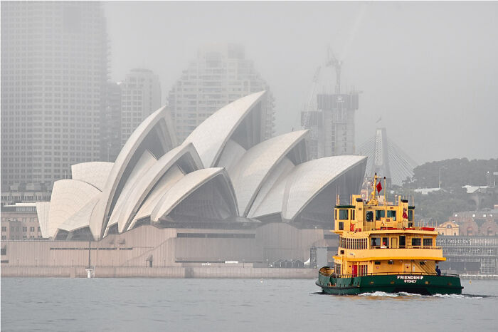 "Foogy Morning In Sydney" By Franz Scheurer