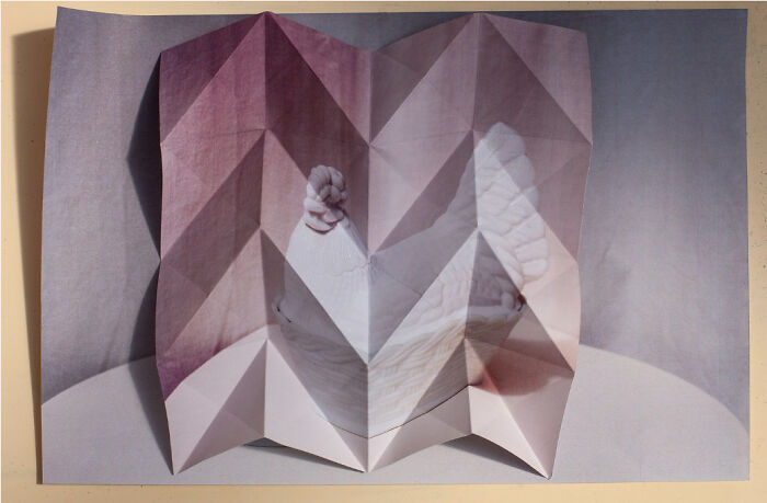 "Ossiuary, From The Series, French Fold" By Heather Mcdonough