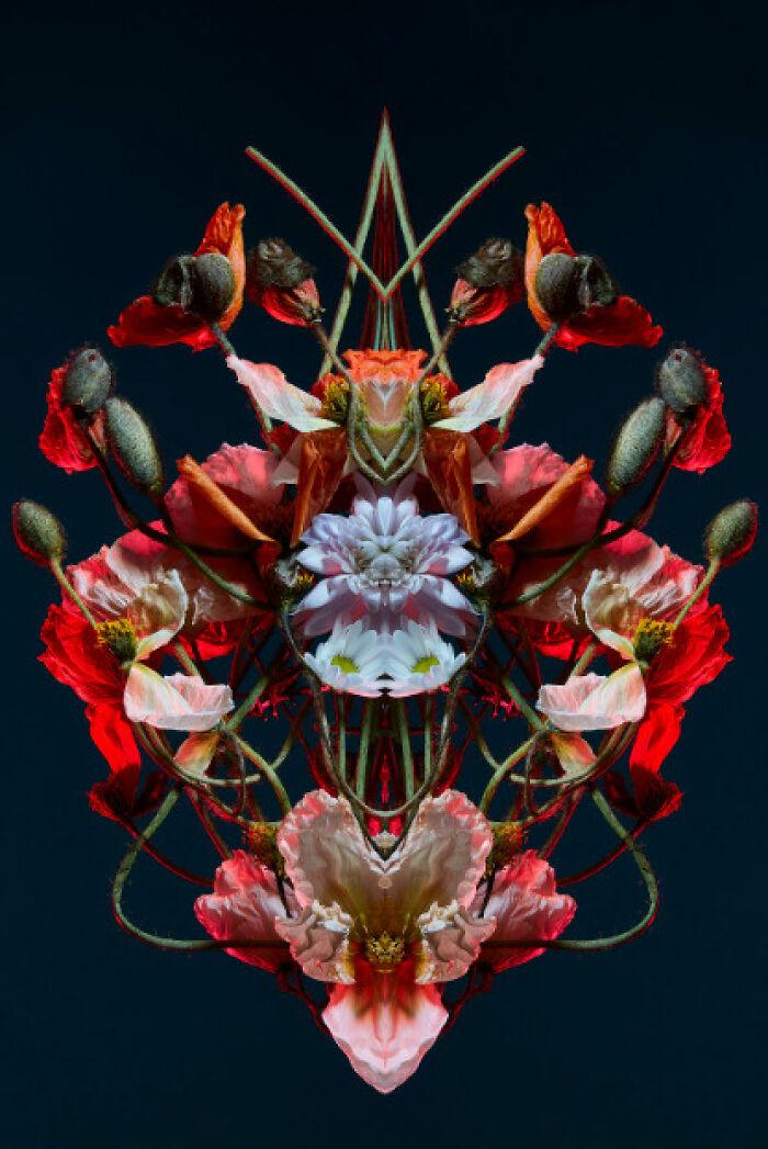 "Reflection" By Benjamin Cole