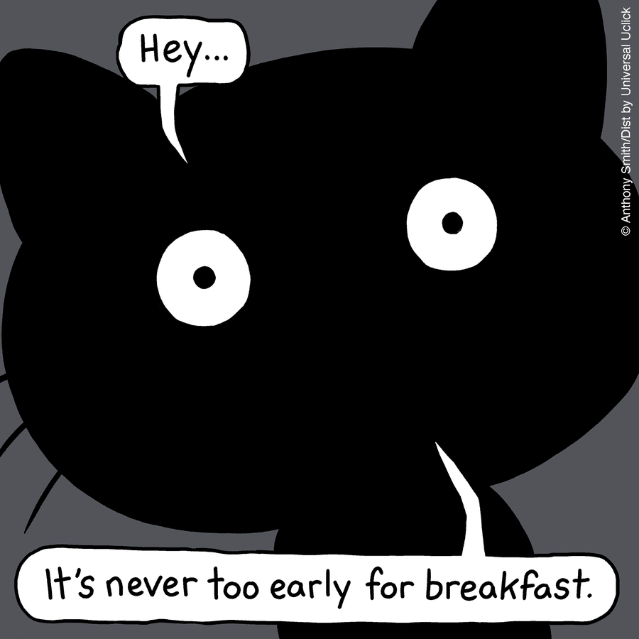 These One-Panel Cat Comics By Anthony Smith Purrfectly Capture What Having A Cat Is Like (New Pics)