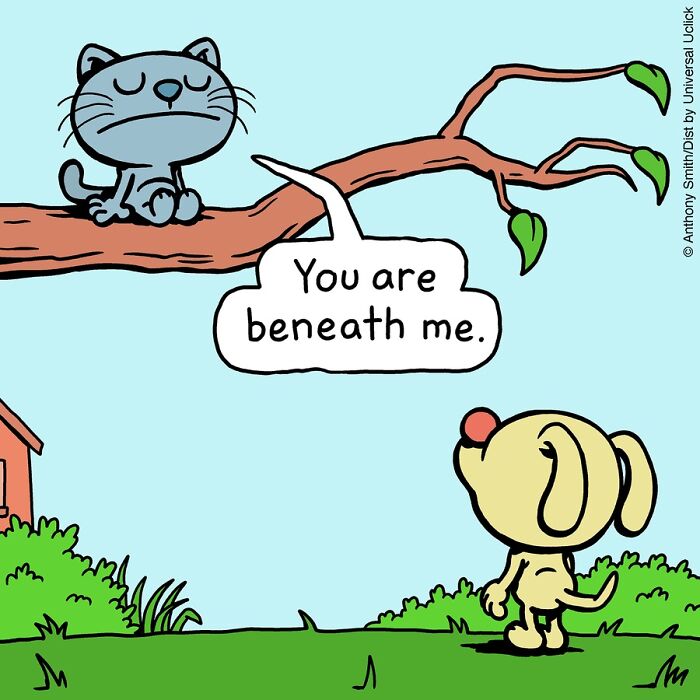 These One-Panel Cat Comics By Anthony Smith Purrfectly Capture What Having A Cat Is Like (New Pics)