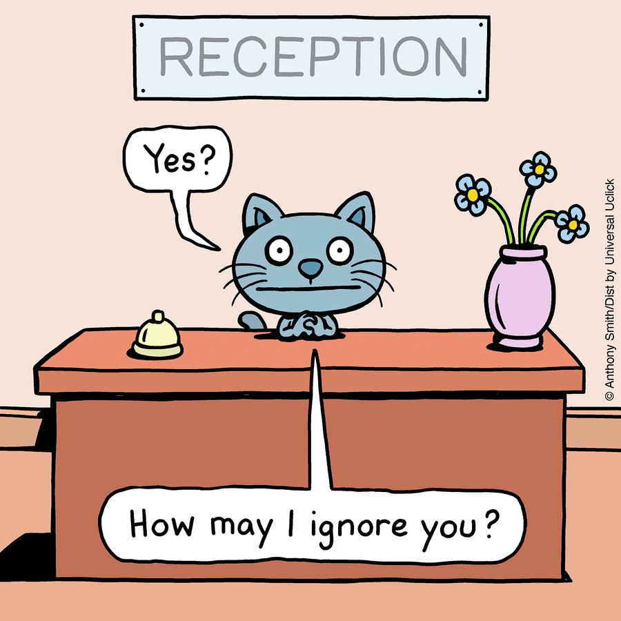 These One-Panel Cat Comics By Anthony Smith Purrfectly Capture What Having A Cat Is Like (New Pics)