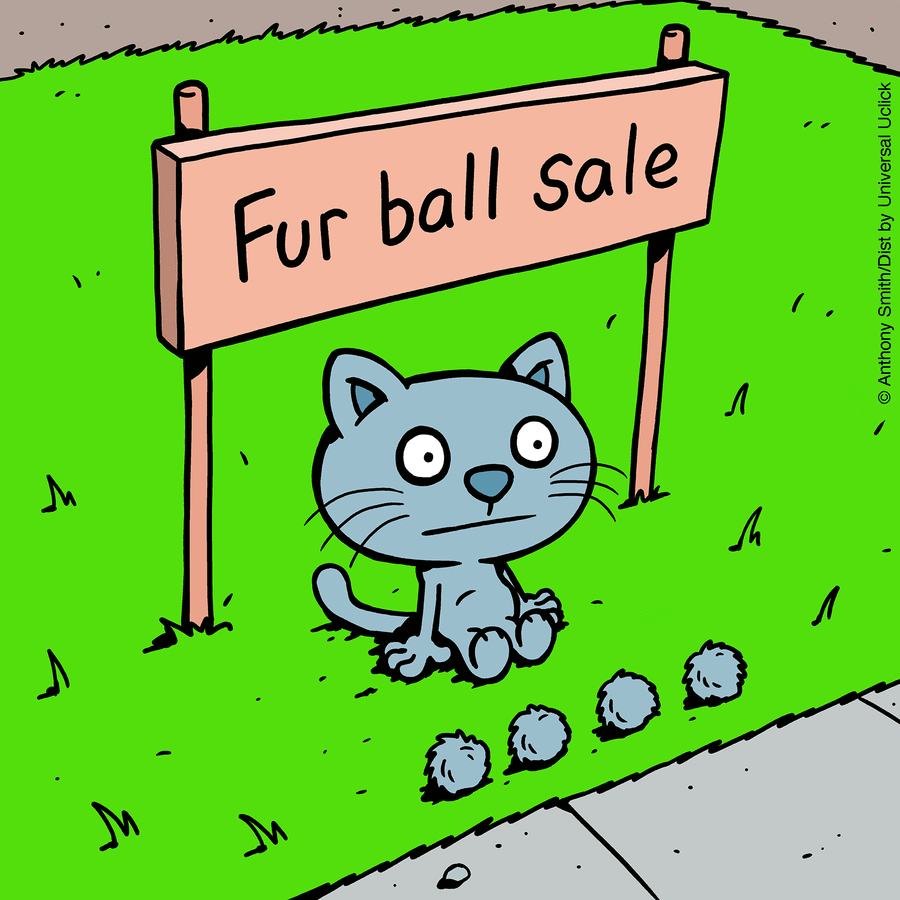 These One-Panel Cat Comics By Anthony Smith Purrfectly Capture What Having A Cat Is Like (New Pics)