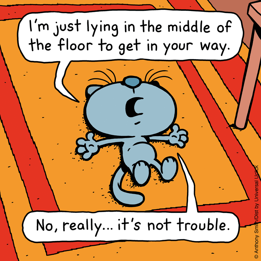 These One-Panel Cat Comics By Anthony Smith Purrfectly Capture What Having A Cat Is Like (New Pics)