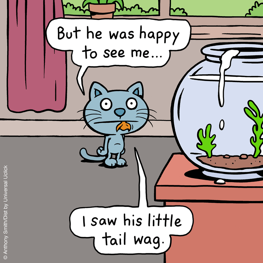 These One-Panel Cat Comics By Anthony Smith Purrfectly Capture What Having A Cat Is Like (New Pics)