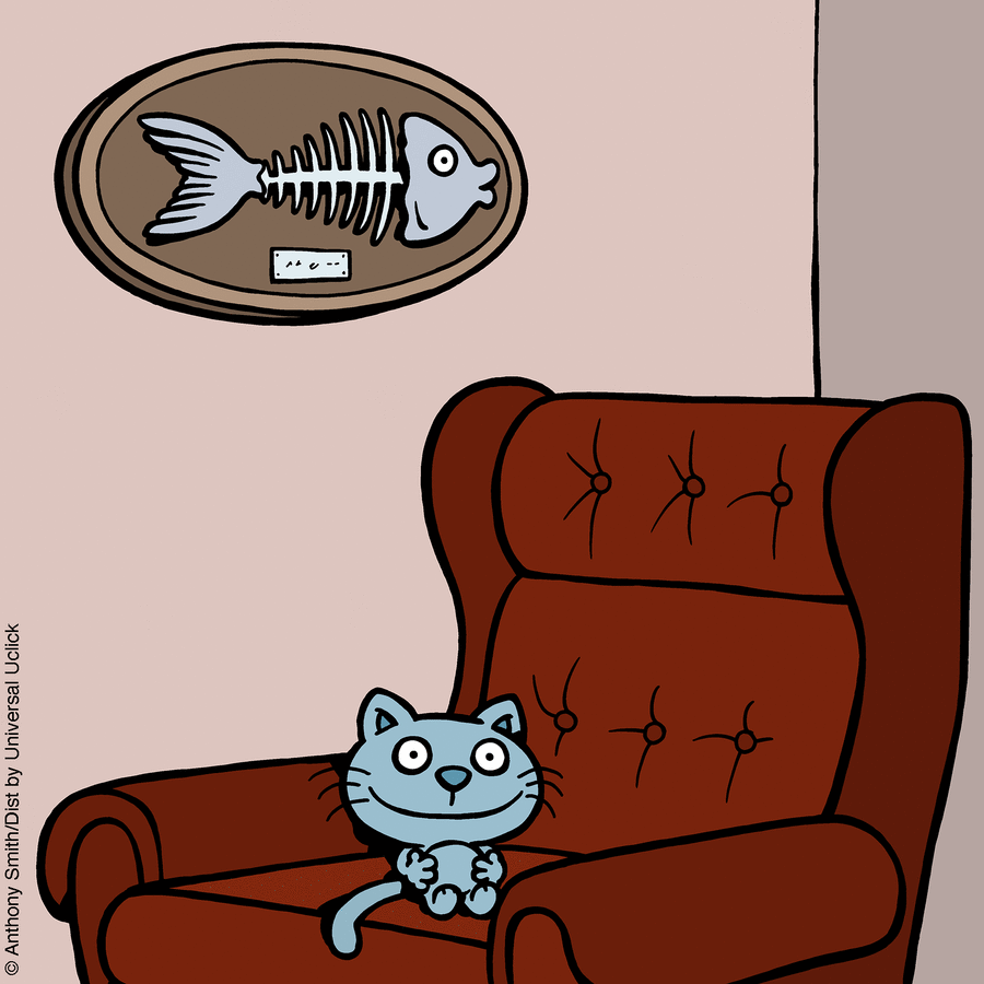 These One-Panel Cat Comics By Anthony Smith Purrfectly Capture What Having A Cat Is Like (New Pics)