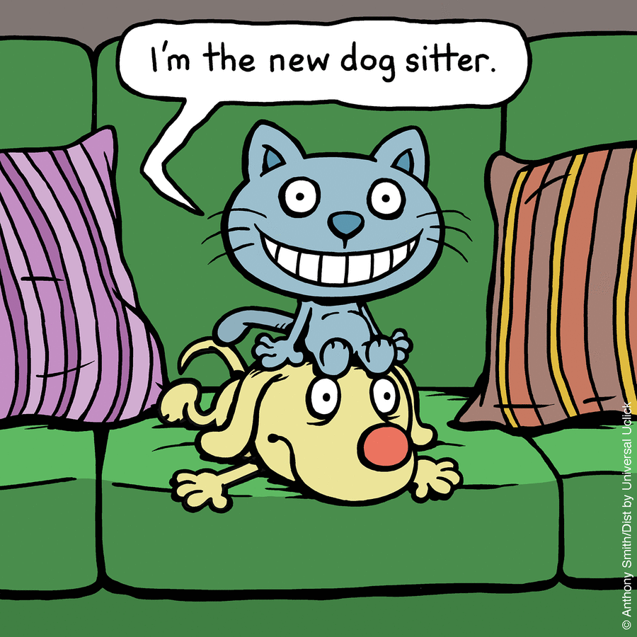 These One-Panel Cat Comics By Anthony Smith Purrfectly Capture What Having A Cat Is Like (New Pics)