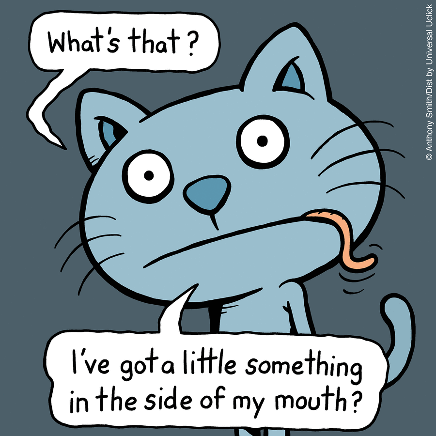 These One-Panel Cat Comics By Anthony Smith Purrfectly Capture What Having A Cat Is Like (New Pics)