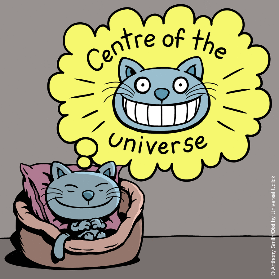 These One-Panel Cat Comics By Anthony Smith Purrfectly Capture What Having A Cat Is Like (New Pics)