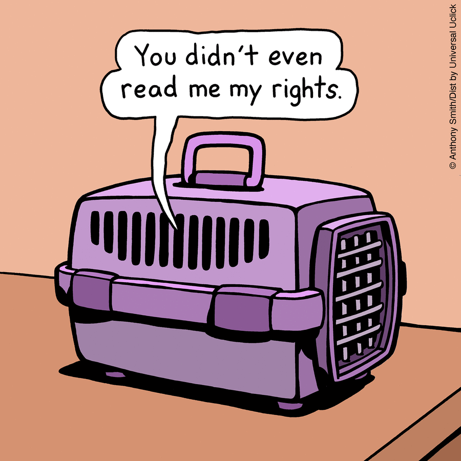 These One-Panel Cat Comics By Anthony Smith Purrfectly Capture What Having A Cat Is Like (New Pics)