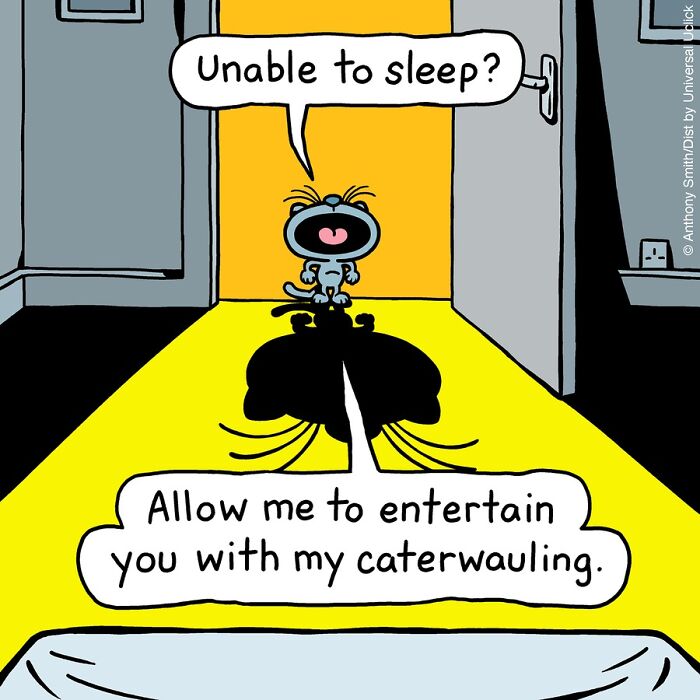 These One-Panel Cat Comics By Anthony Smith Purrfectly Capture What Having A Cat Is Like (New Pics)