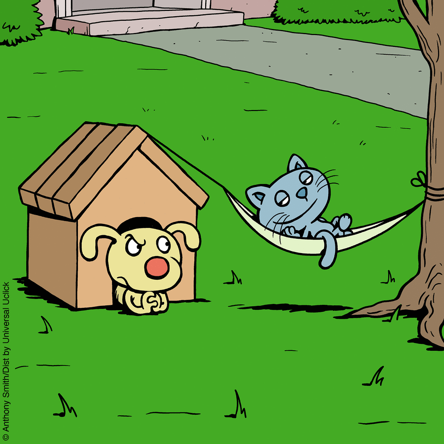 These One-Panel Cat Comics By Anthony Smith Purrfectly Capture What Having A Cat Is Like (New Pics)