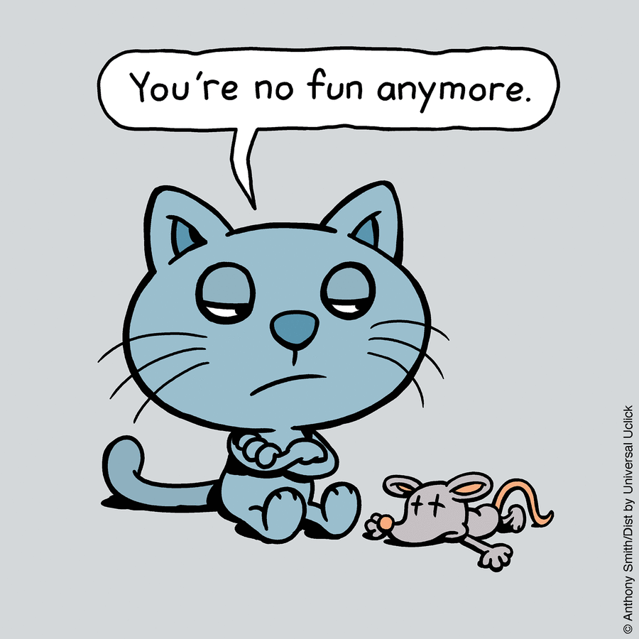 These One-Panel Cat Comics By Anthony Smith Purrfectly Capture What Having A Cat Is Like (New Pics)